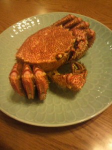 東京は白金にある白金陶芸教室。最寄り駅は広尾、恵比寿、白金高輪、白金台、徒歩約１０分。目黒駅、渋谷駅からもバスが出ております。１日体験のほかタイル体験や親子体験やウエディング体験があります。初心者の方にも丁寧な指導を心がけております。外国人の方も多くいらしていて英語での授業もできます。