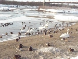 東京は白金にある白金陶芸教室。最寄り駅は広尾、恵比寿、白金高輪、白金台、徒歩約１０分。目黒駅、渋谷駅からもバスが出ております。１日体験のほかタイル体験や親子体験やウエディング体験があります。初心者の方にも丁寧な指導を心がけております。外国人の方も多くいらしていて英語での授業もできます。